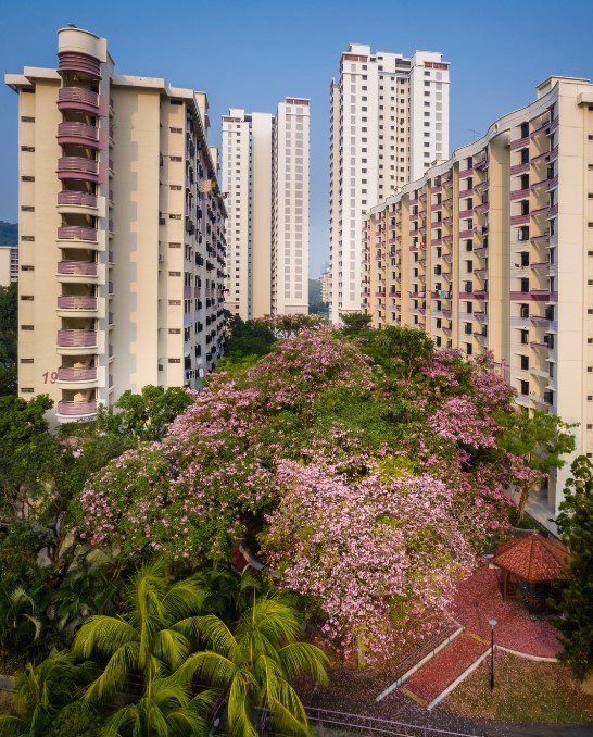 Sobha Orbis